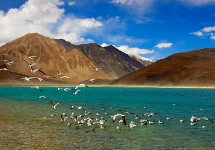 Ladakh Tours